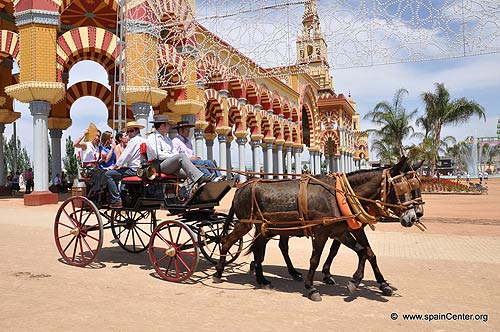 Hoi cho ngua jerez